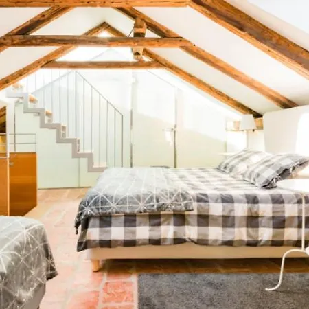 Luxurious 190m2 Penthouse In Main Shopping Street Salzburg